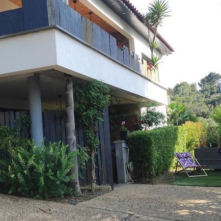 Studio Villa Le M Six-Fours-les-Plages Dış mekan fotoğraf