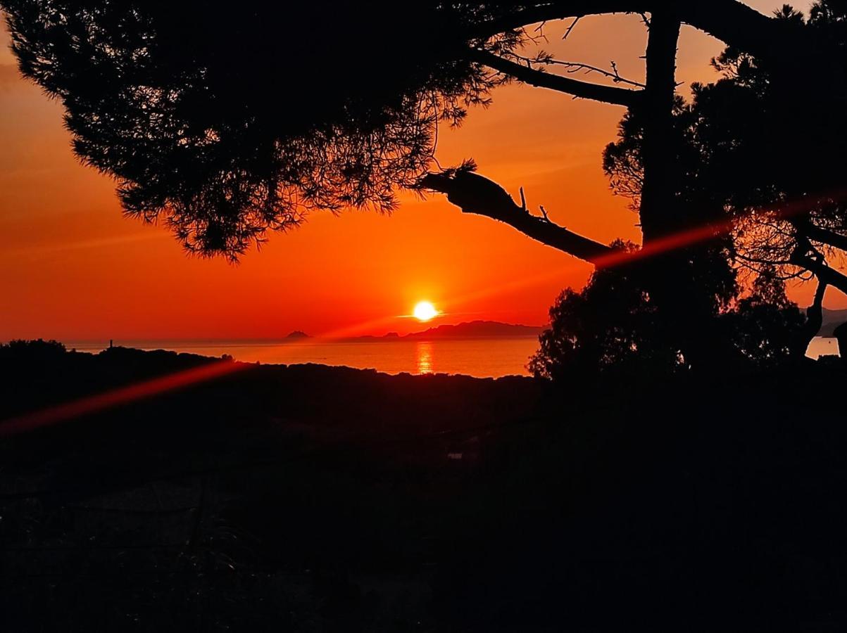 Studio Villa Le M Six-Fours-les-Plages Dış mekan fotoğraf