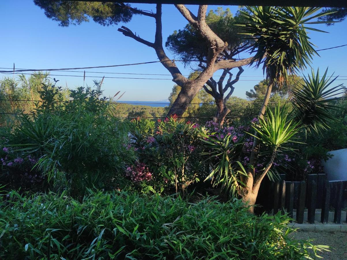 Studio Villa Le M Six-Fours-les-Plages Dış mekan fotoğraf